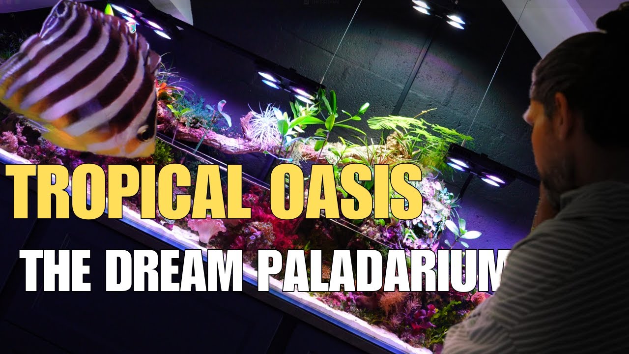 Wir besuchen das beste Salzwasser-Paludarium Europas – ein einzigartiges Unterwasser-Erlebnis!