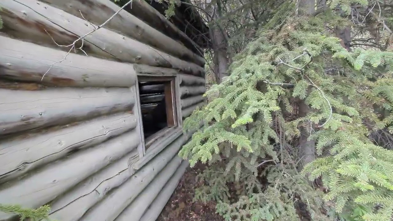 Trappers Cabin Kluane National Park, Yukon
