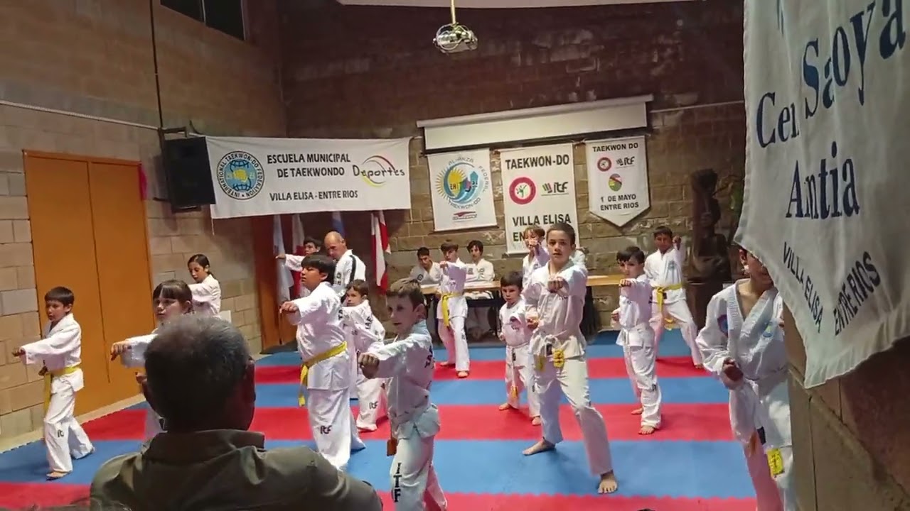 7 formas cinturón punta amarilla . Examen ITF. Taekwondo. Sept. 2025