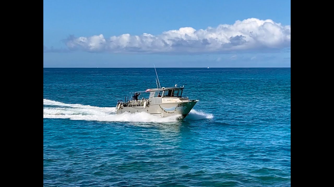 Pacific Rim Divers at Honokohau Harbor, Kailua-Kona, HI