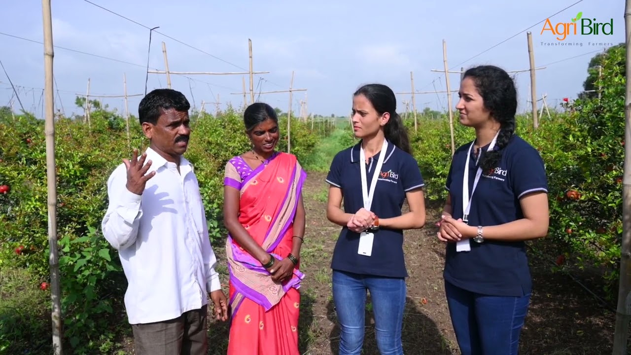 AgriBird Farmer Feedback
