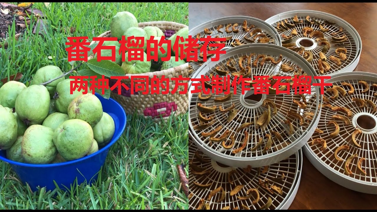 两种不同风味的番石榴干的做法 Homemade Dried Guava