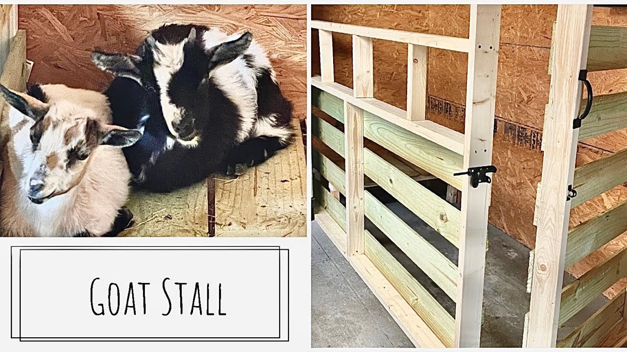 Building a Goat Stall for my Nigerian Dwarf Goats | Future Kidding Stalls | On the Farm  HD 1080p