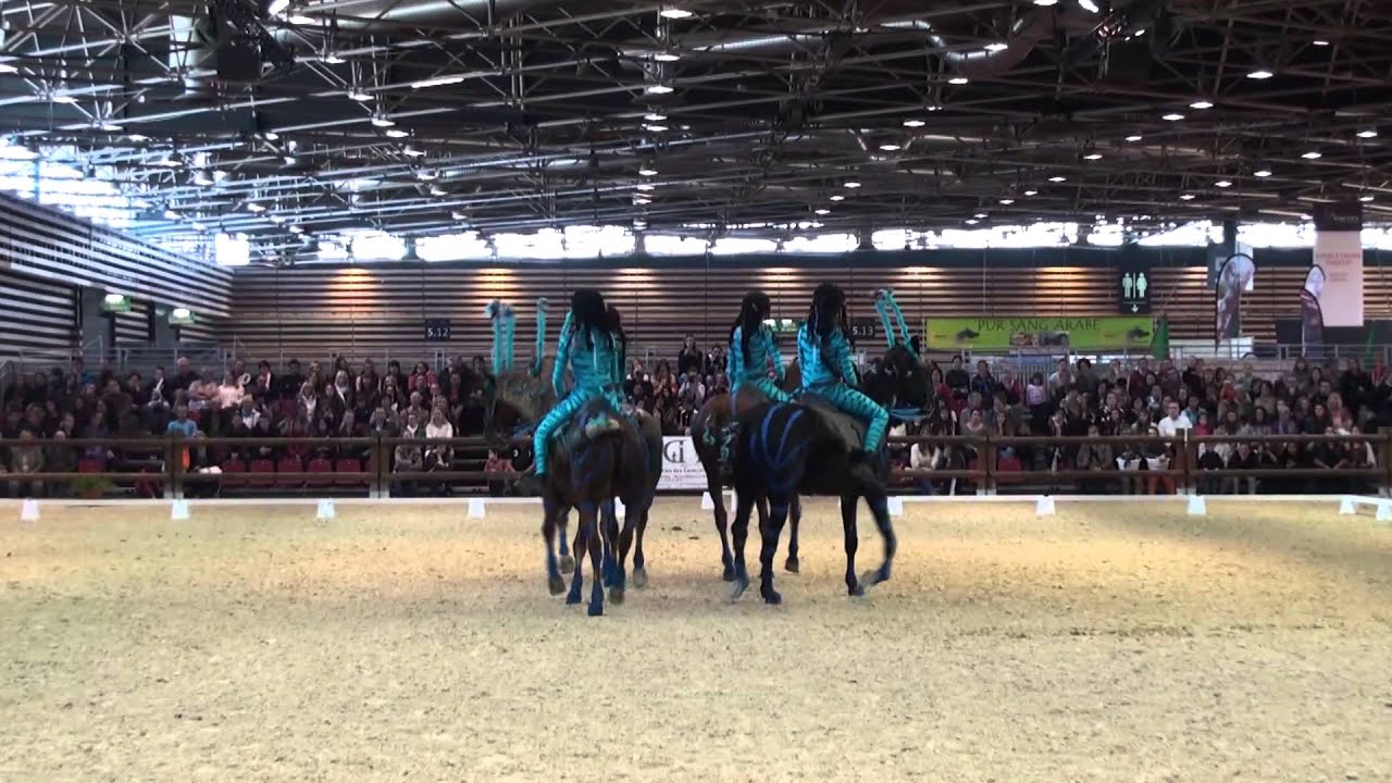 Equita Club Carrousel by Padd - Finale Equita Lyon 2014 - Avatar
