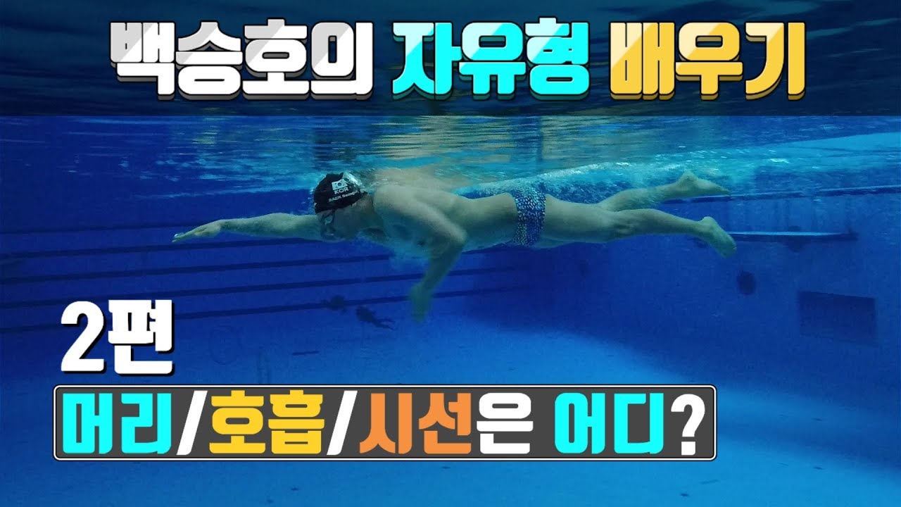SHC 수영_[2편]_자유형 머리/호흡/시선_백승호의 자유형배우기