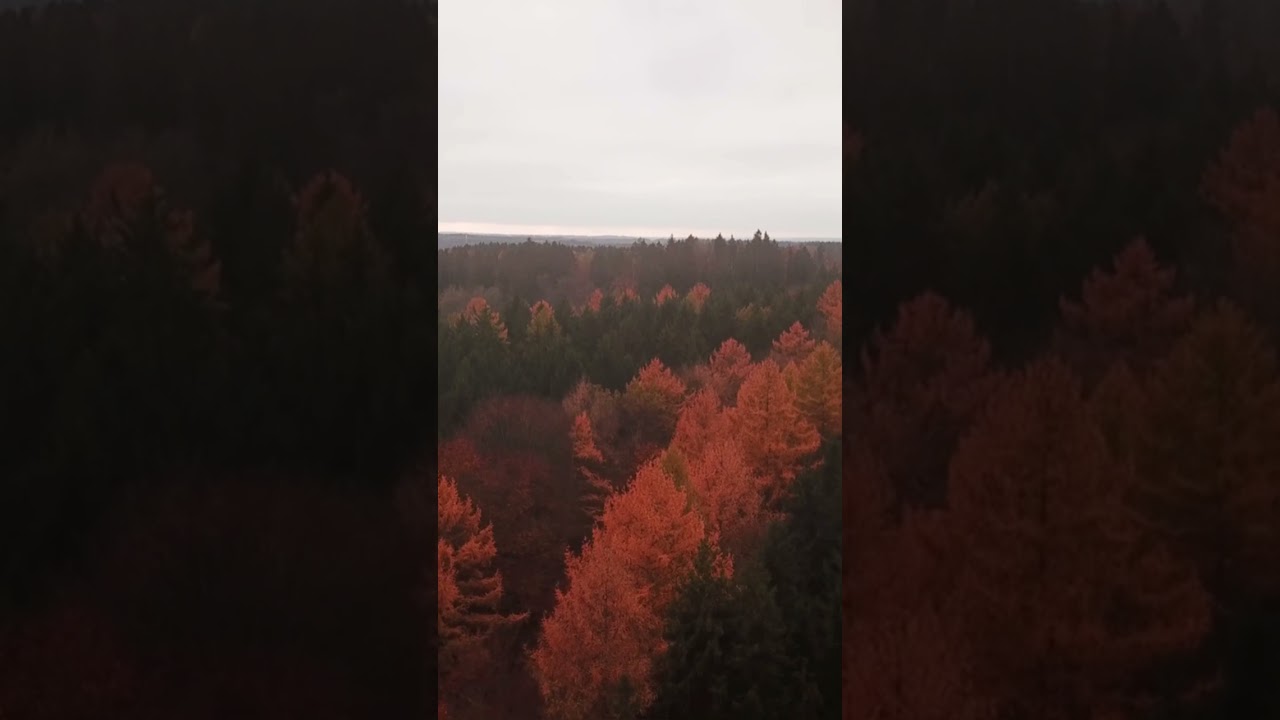 Autumn Colours in Bavaria, Germany 🇩🇪❤️🍂
