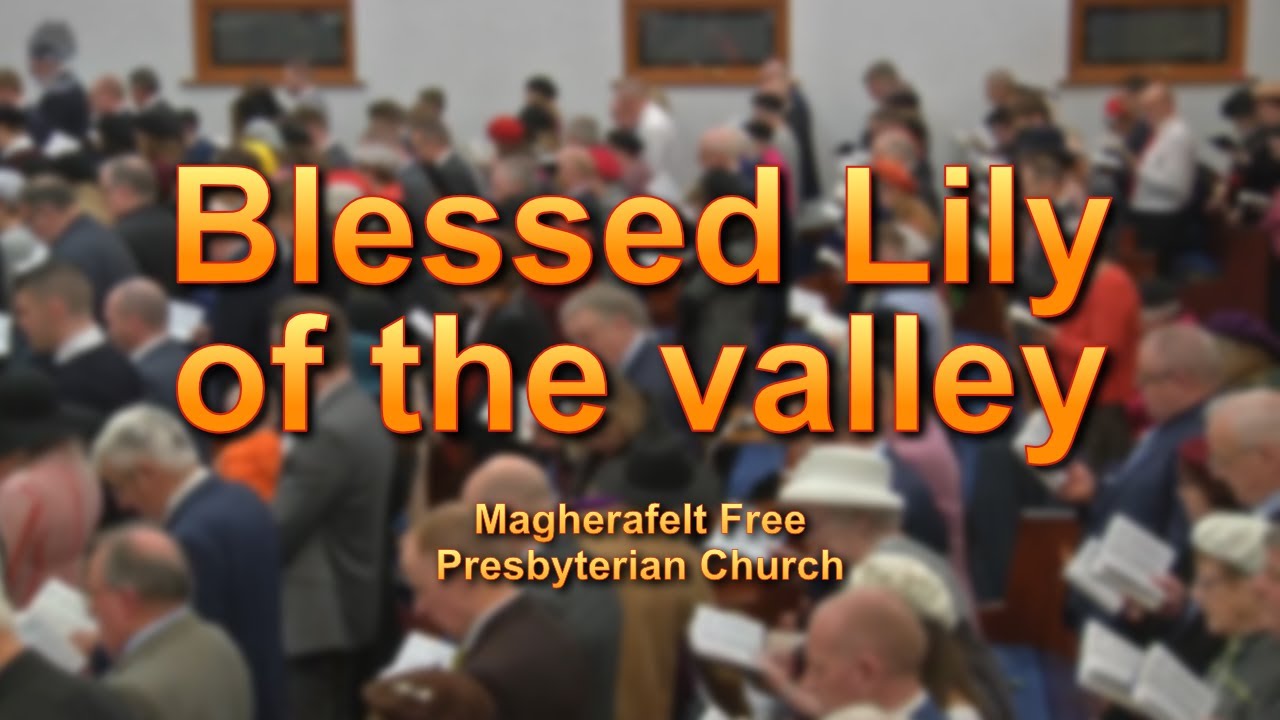 Blessed Lily of the Valley