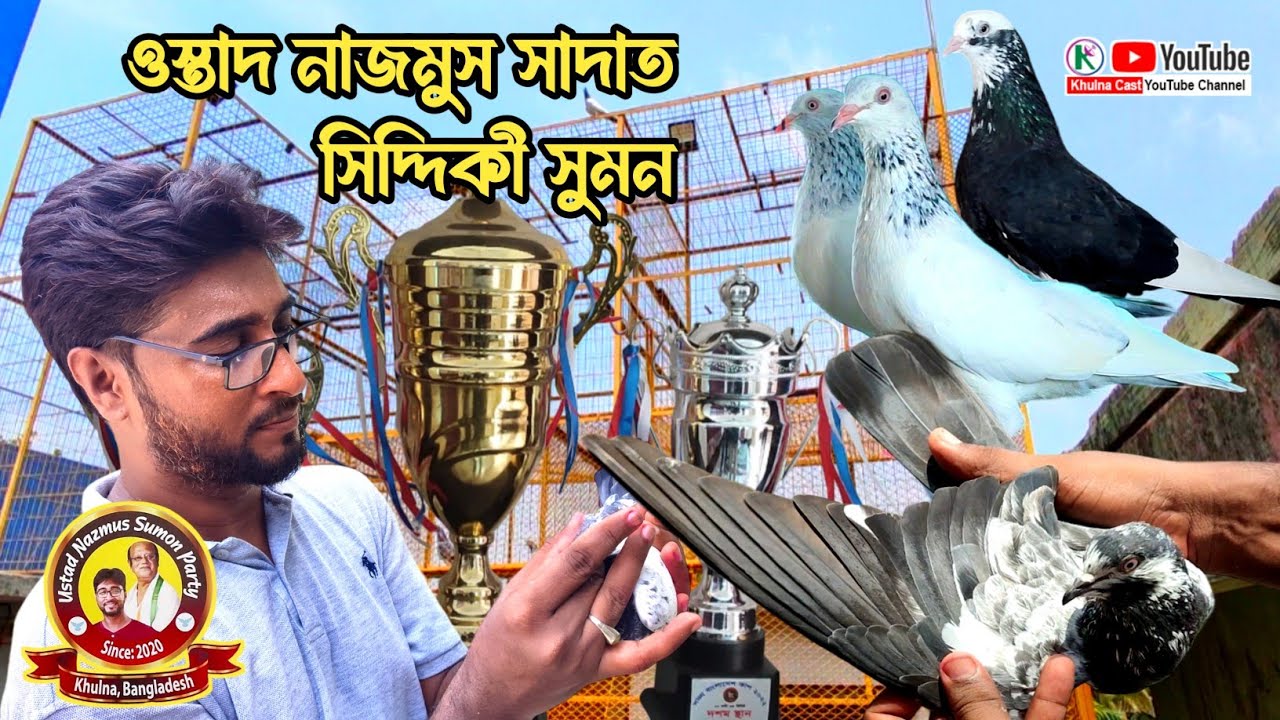 ওস্তাদের ঘরের কবুতর।।ওস্তাদ নাজমুস সাদাতসিদ্দিকী সুমন।। ১২ ঘন্টা কবুতর উড়িয়ে চ্যাম্পিয়ন
