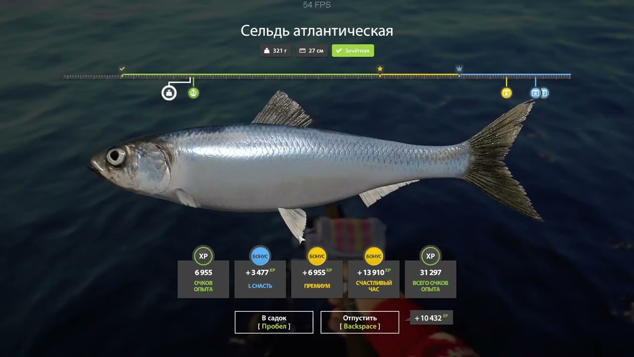 Ч.85.Всем приуэт!Качаю МЛО,закрываю экстро и +- по ситуац�