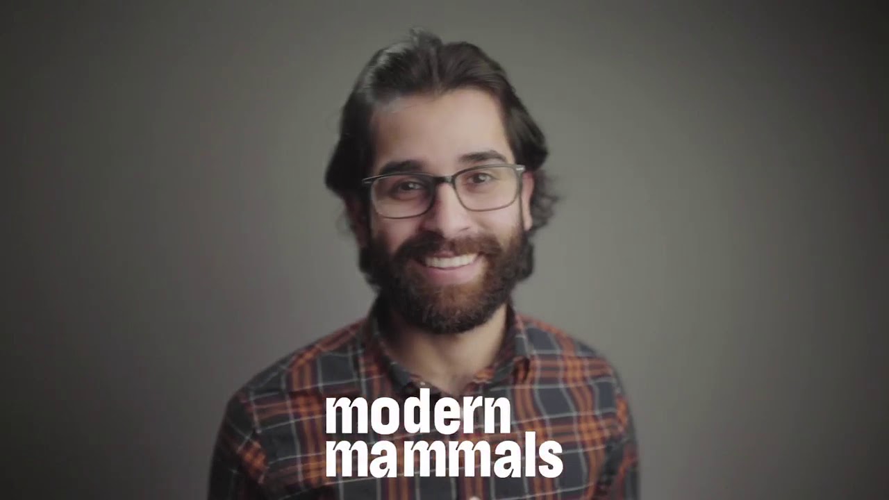 Modern Mammals Side-by-side