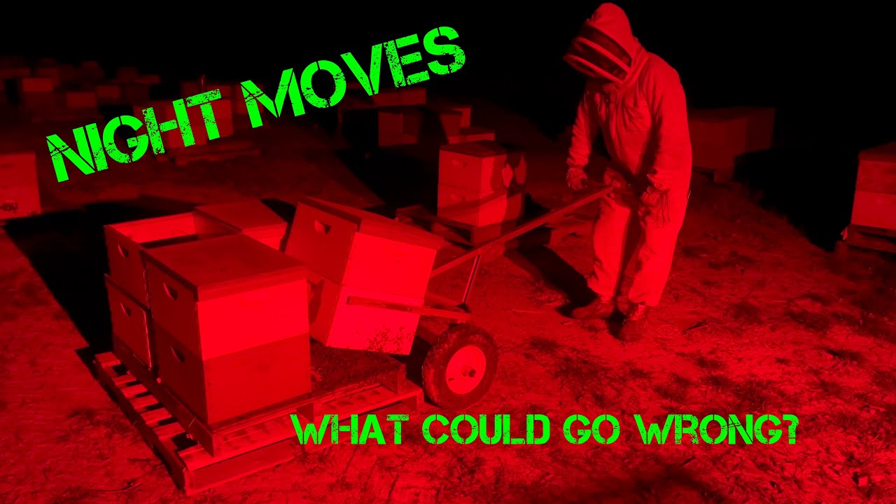 Night Moves - Newbee commercial beekeepers truck their livestock back home