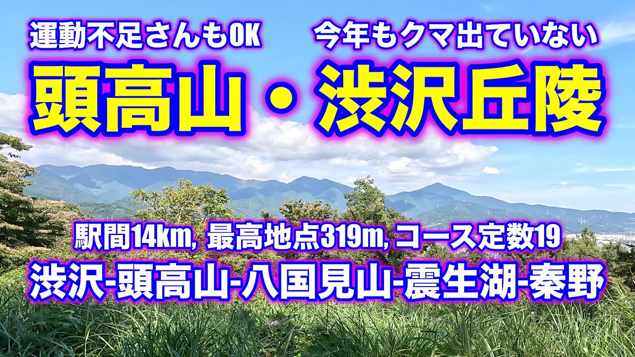 丹沢を眺めながら丘陵部を散歩