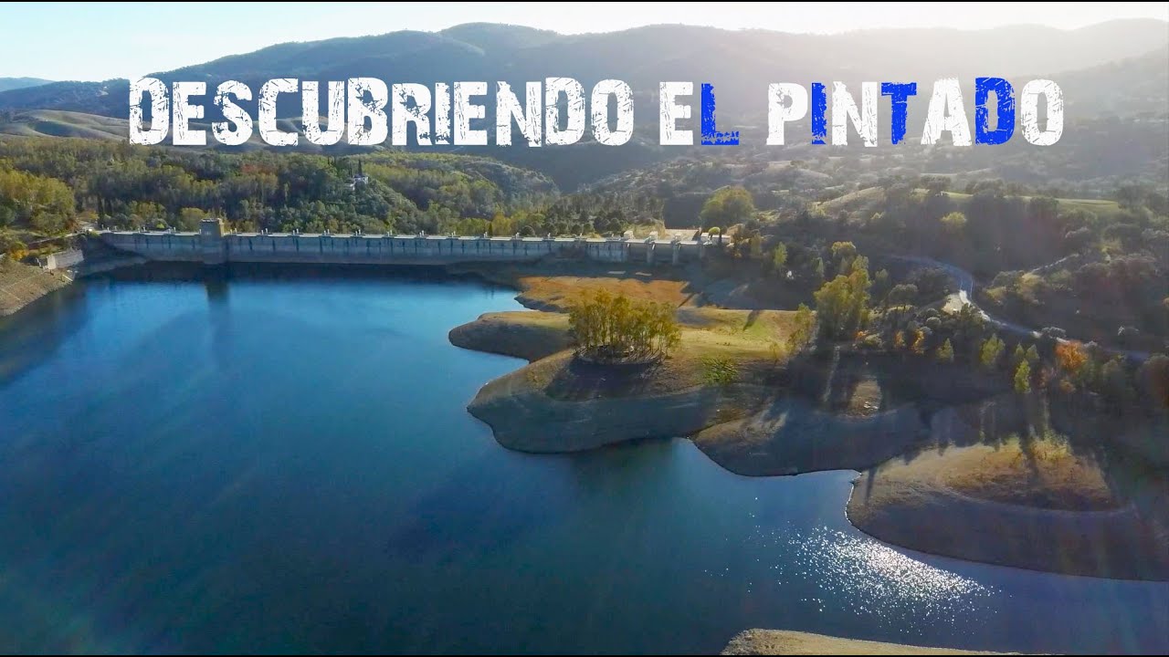 DESCUBRIENDO EL PANTANO EL PINTADO