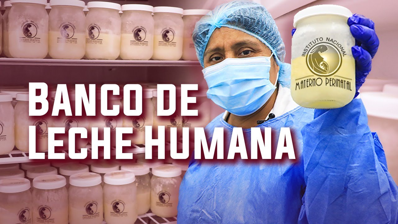 Conoce más sobre el Banco de Leche de la Maternidad de Lima y su labor en favor de bebés prematuros