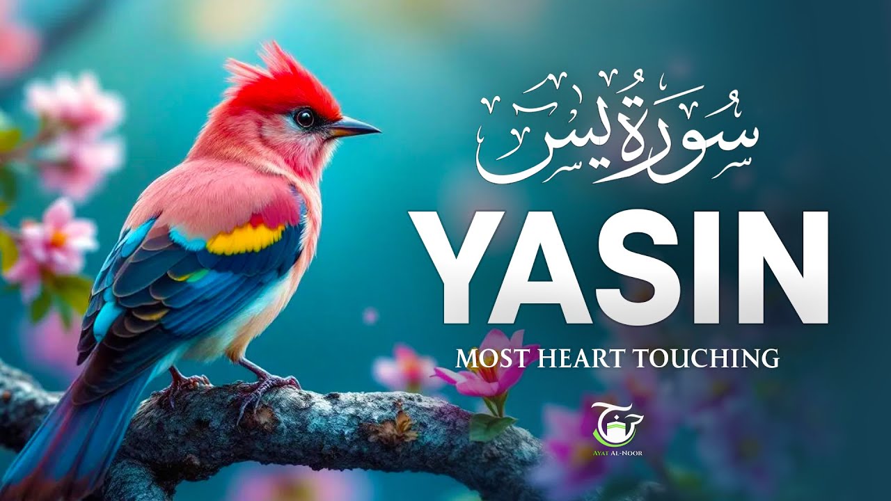 Surah Yasin (Yaseen) سورة يس | Relaxing Heart touching voice | Ayat Al-Noor