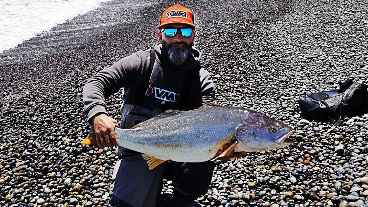Cucao Chiloé buscando las grandes corvinas primer champion del canal jornada completa 💪💪💪