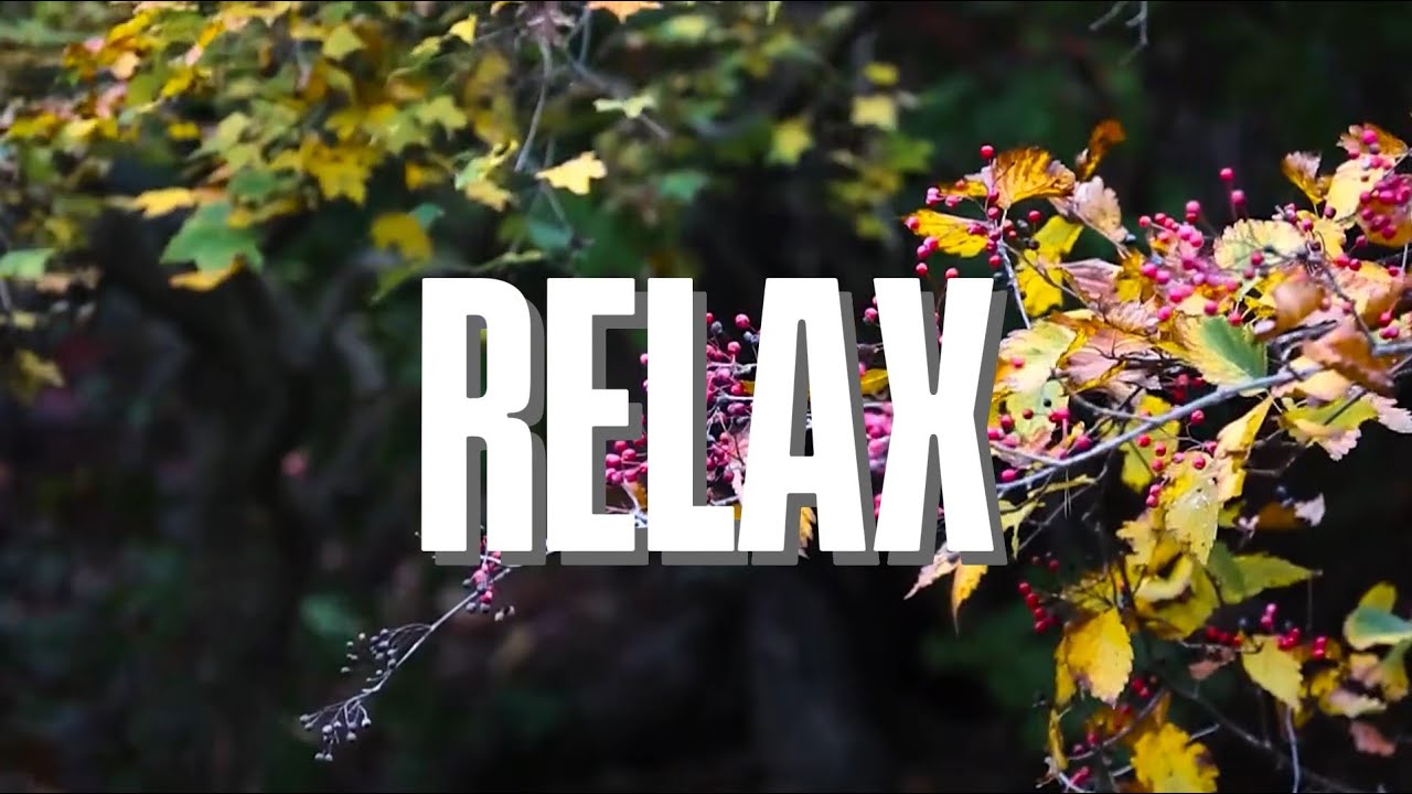 Korean Serenity! Nature Sounds Meet Traditional Music for Deep Sleep