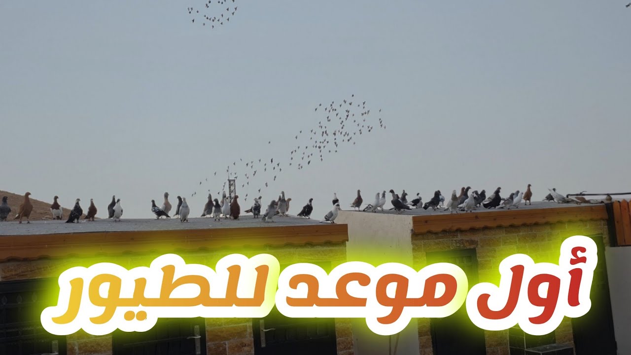 أول يوم موعد للحمام وشكلها حرب هاي السنة