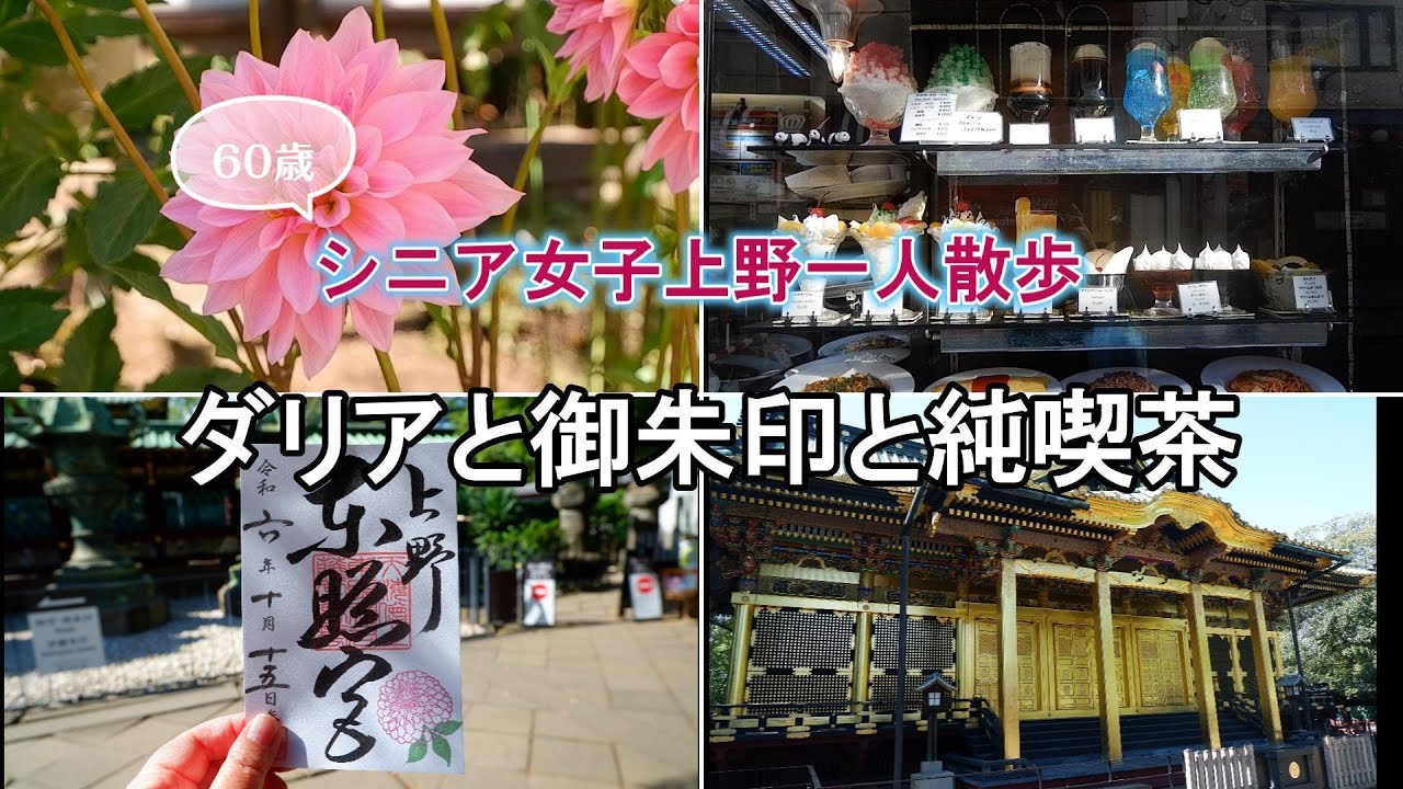 【シニア女子上野一人散歩】秋のダリア鑑賞と御朱印めぐりと純喫茶