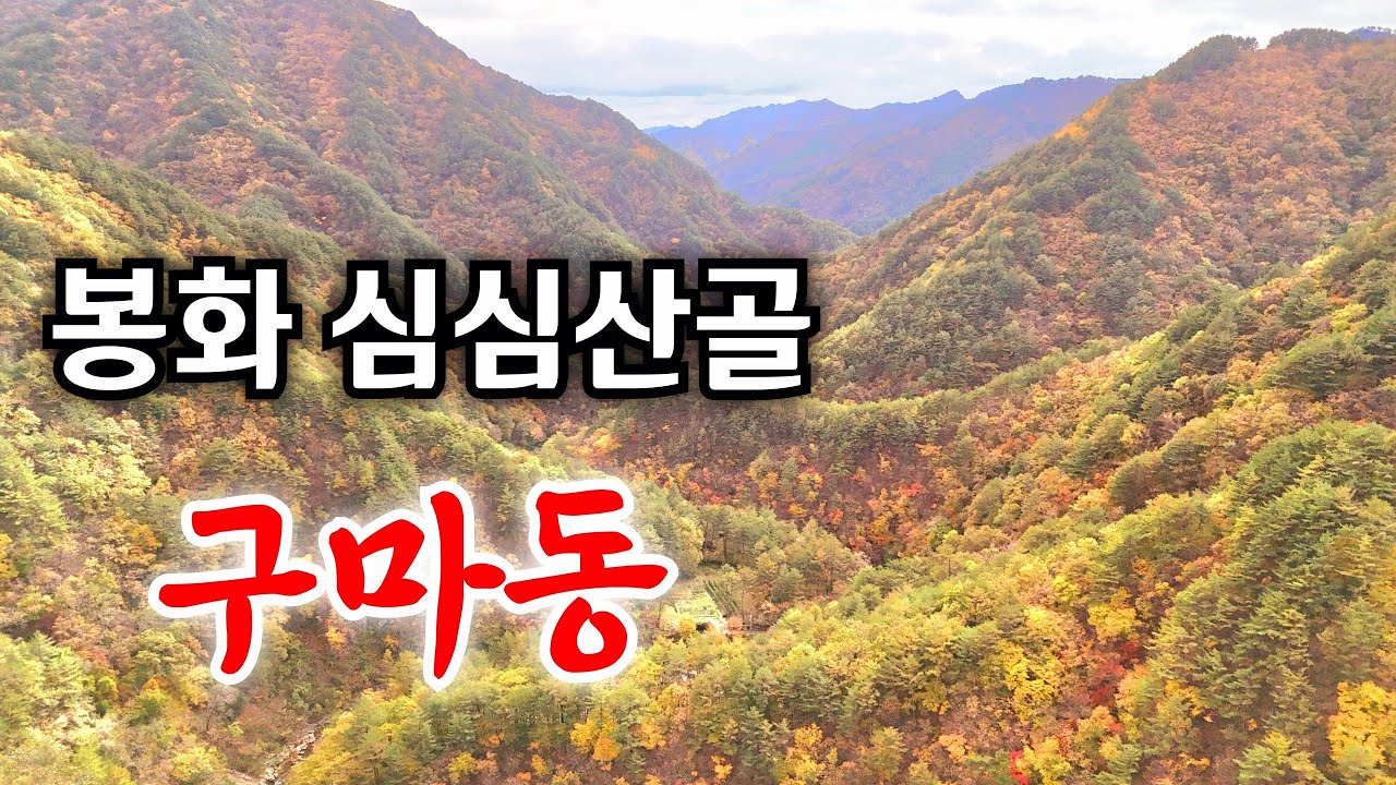 봉화 에서도 둘째 가라면 서러운 심심산골 오지마을 이곳에 사람들은 어떻게 살아가는지