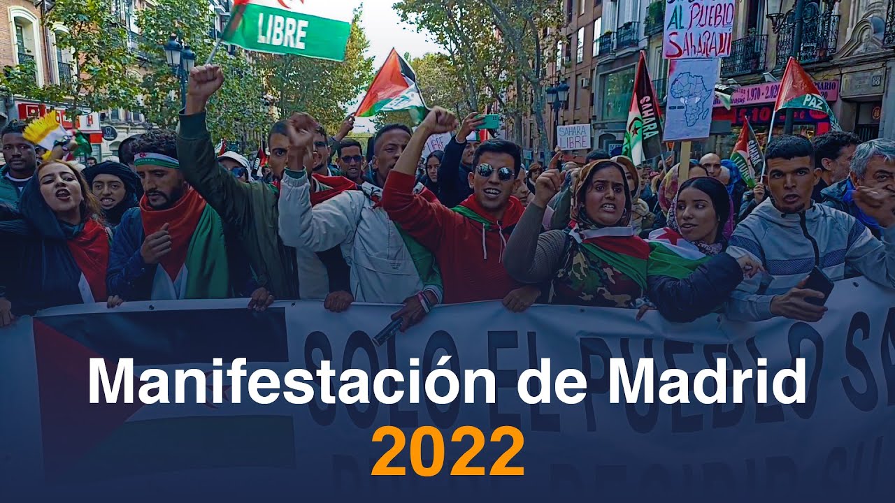 Manifestación de Madrid 2022