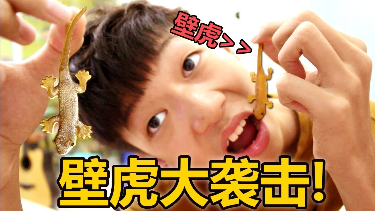 拿假壁虎恶整家人！堂哥吓晕了？！【恶整】