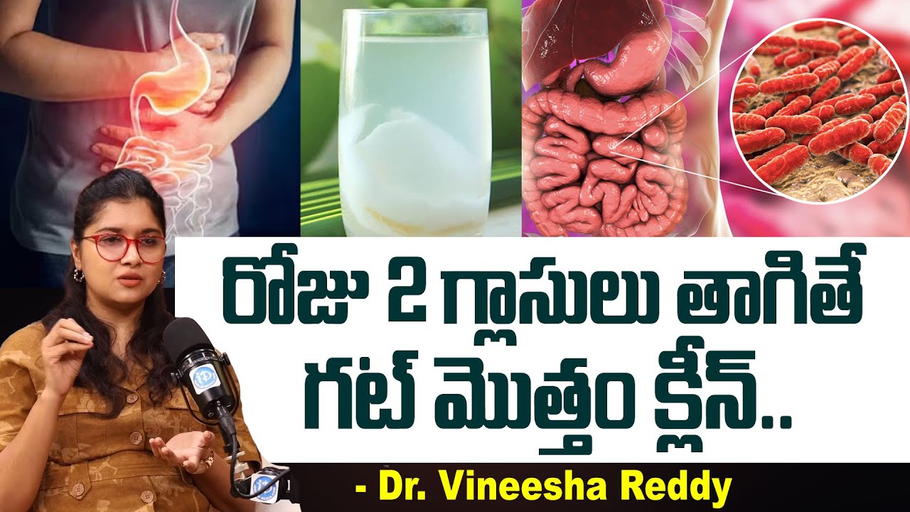రోజు 2 గ్లాసులు తాగితే మీ గట్ క్లీన్..| Food to Improve Gut Health in Telugu | iD Health Care