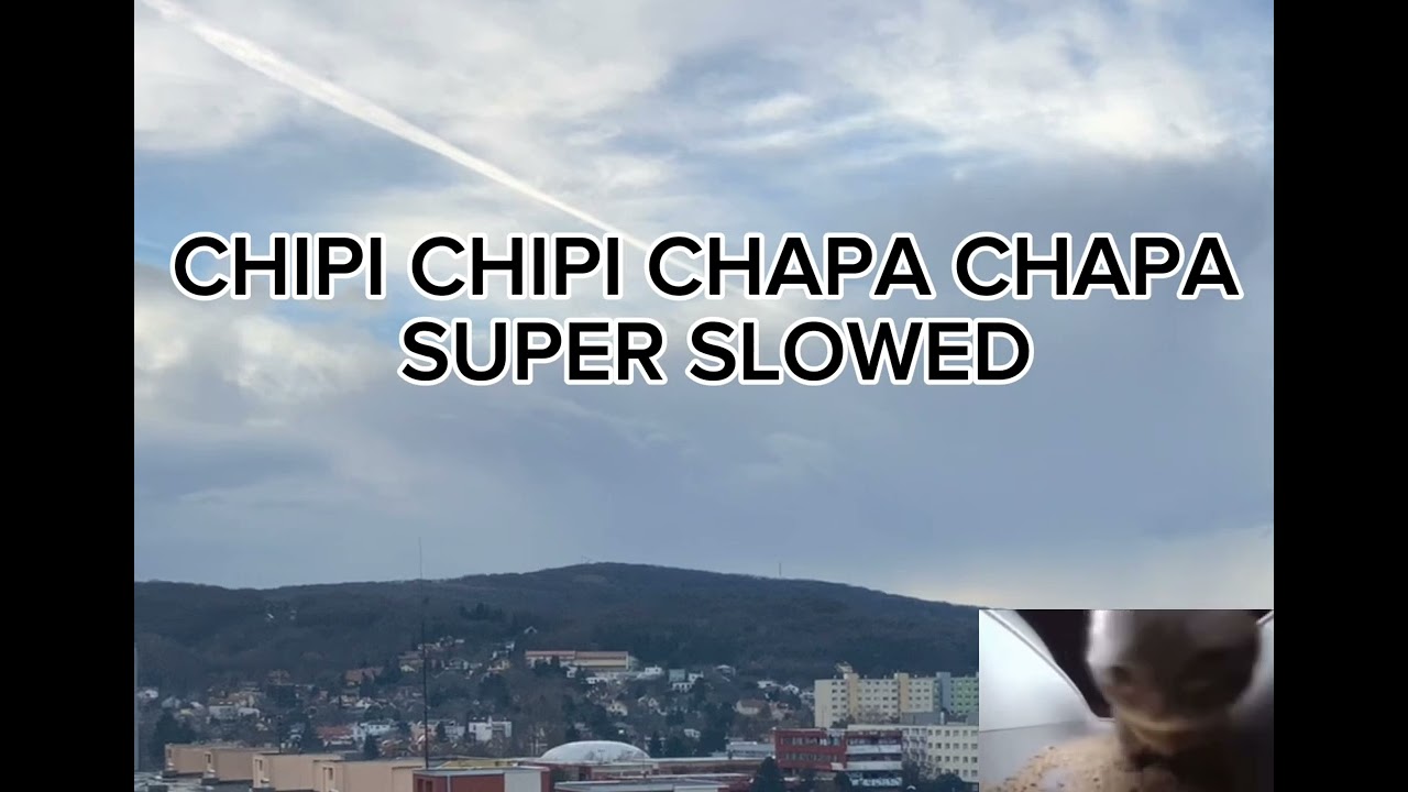 Chipi chipi chapa chapa SUPER SLOWED
