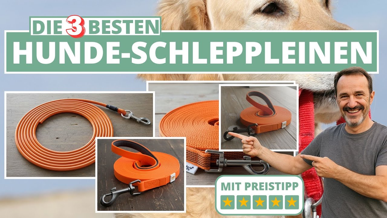 Beste Hunde-Schleppleine - Meine 3 Favoriten!