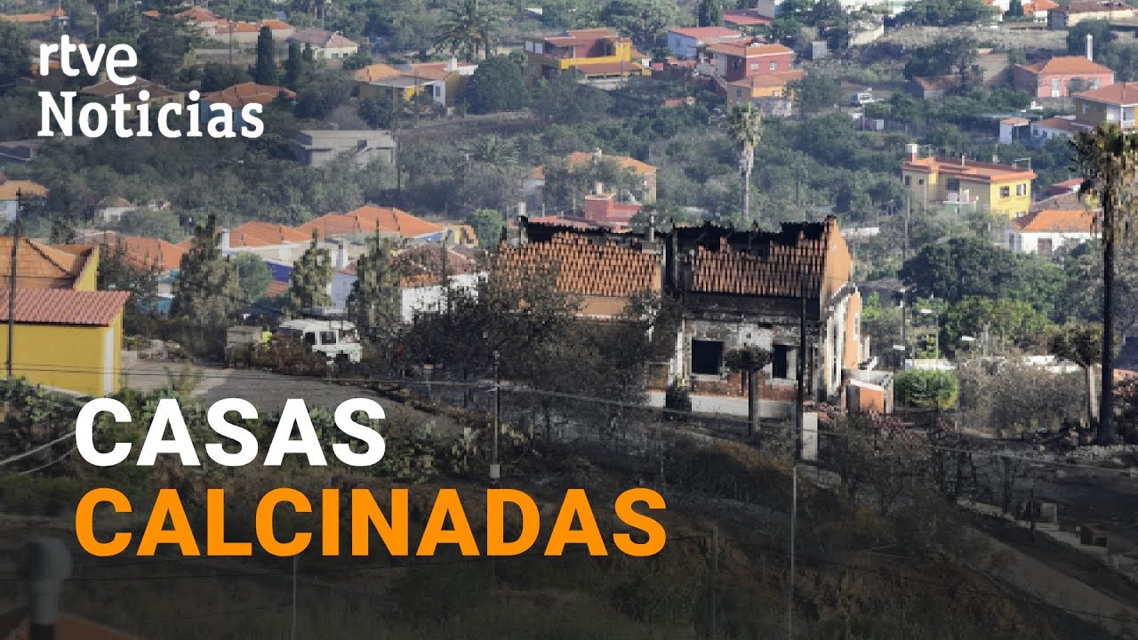 INCENDIO LA PALMA: ESTABILIZADO el FUEGO que ha QUEMADO unas 2.900 HECTÁREAS | RTVE Noticas