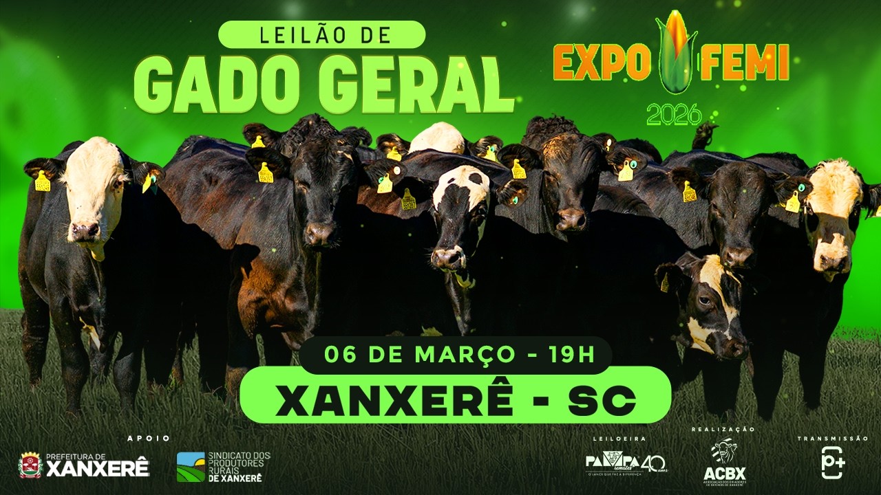 LEIL&Atilde;O DE GADO GERAL, XANXER&Ecirc;/SC - 06/03/2026 19:00h