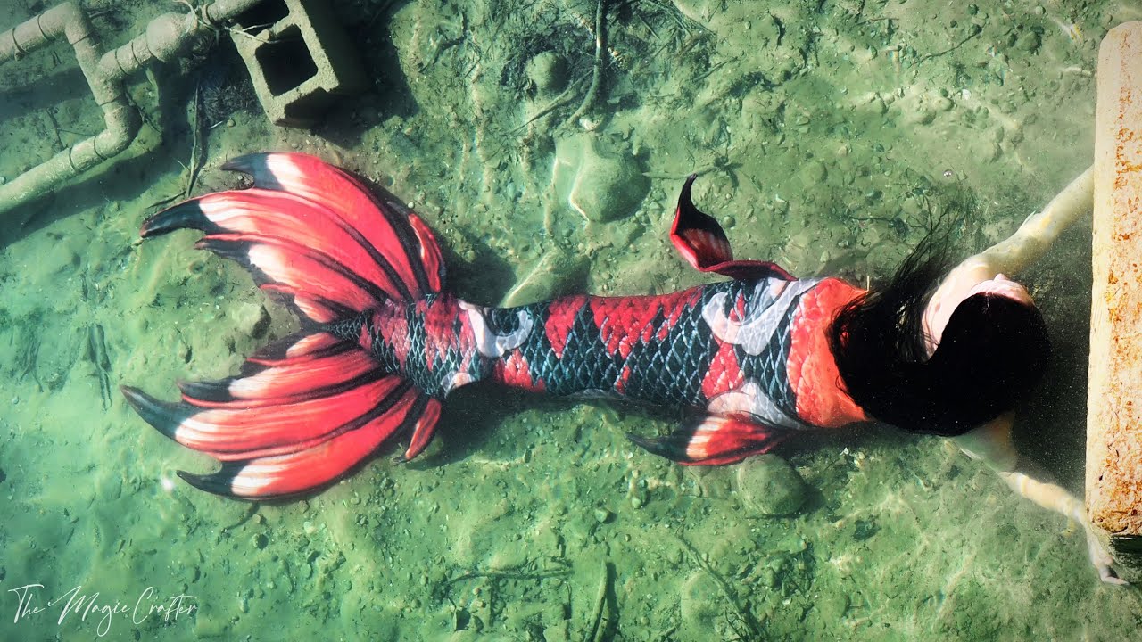 KOI FISH MERMAID IN A RIVER (Swimming in my Fin Fun Crimson Koi Neptune Elite Mermaid Tail)