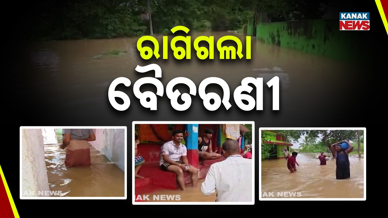 Baitarani River Floods Kendrapara | Floodwater Enters Villages, People Struggle