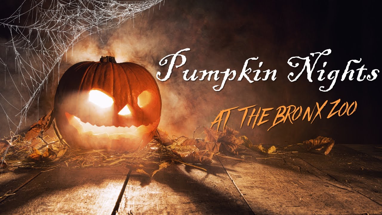 Halloween Event - Pumpkin Nights at the Bronx Zoo