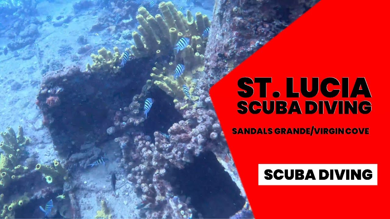 Scuba Diving St Lucia Sandals Grande