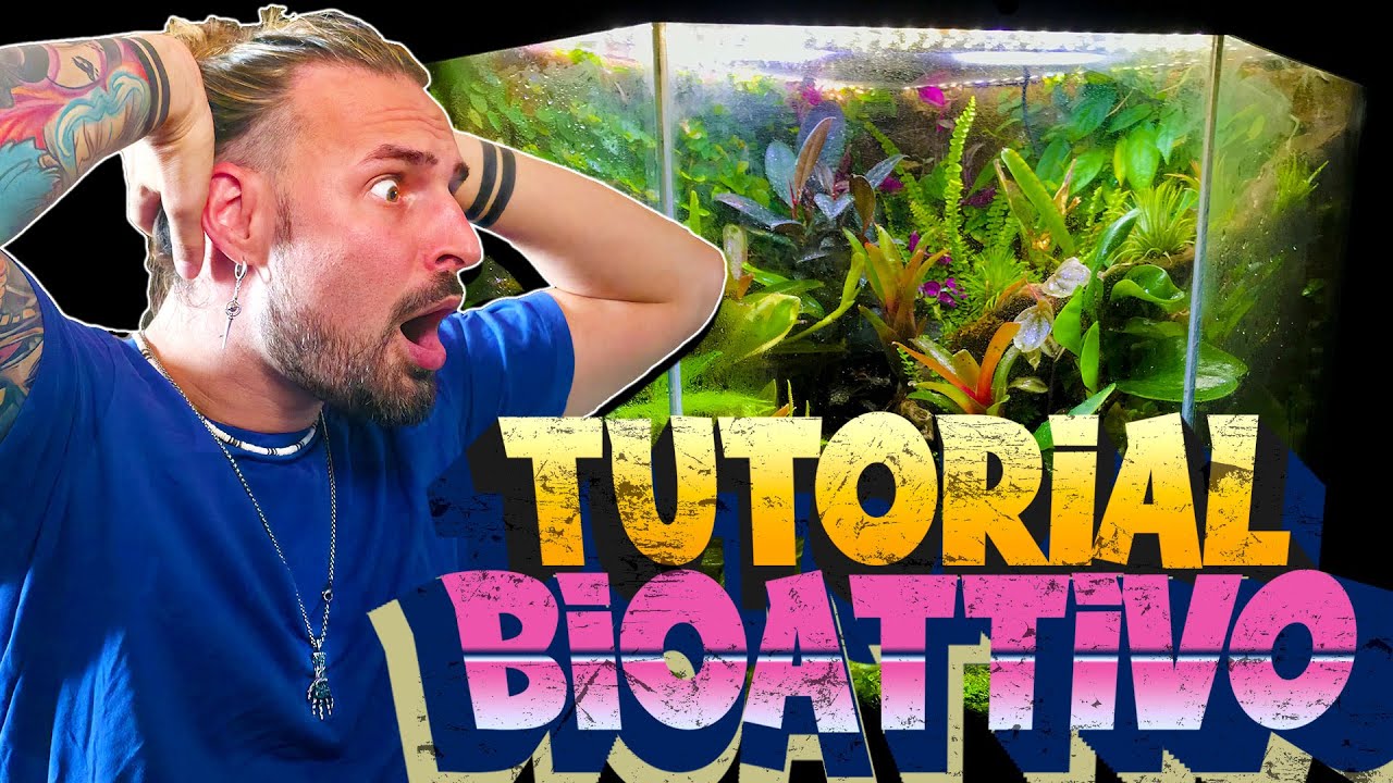 Come si CREA un TERRARIO BIOATTIVO