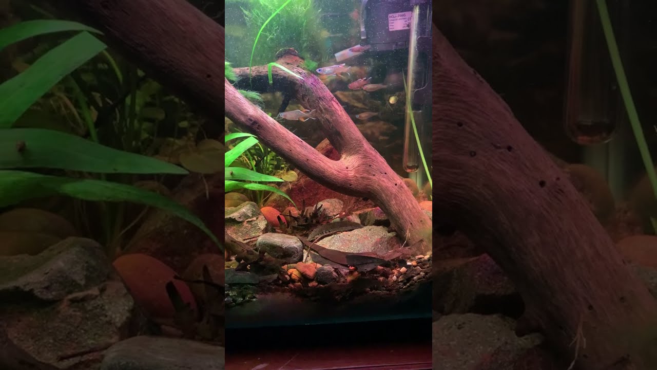 My faith is being rewarded. Thank you Lord.