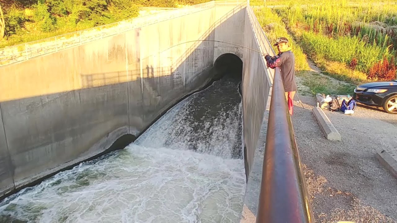 Striped Bass Fishing in the Spillway. EP 248