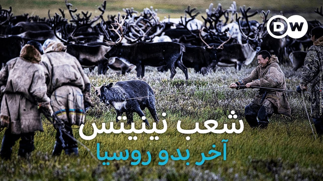 وثائقي | سيبيريا: غازبروم وخطوط الغاز وآخر البدو الرحل | وثائقية دي دبليو
