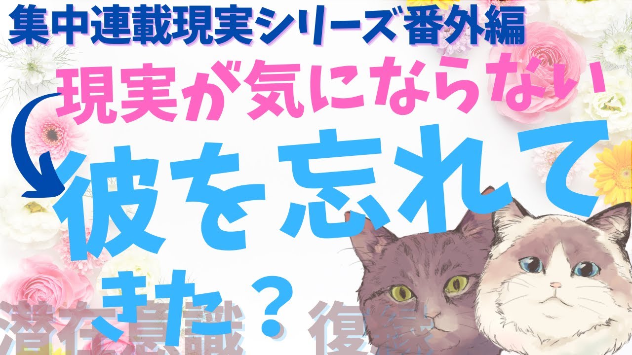 現実が気にならなくなってきたら、彼を忘れてきた！？集中連載現実シリーズ番外編【潜在意識/恋愛/復縁/片思い/引き寄せの法則/現実】