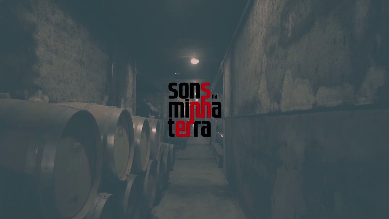 Sons na minha Terra - Concerto Tó Trips