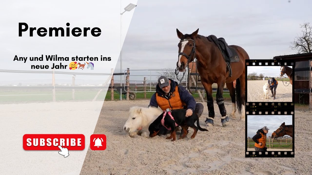Any und Wilma starten ins neue Jahr 🥰🐎🦄