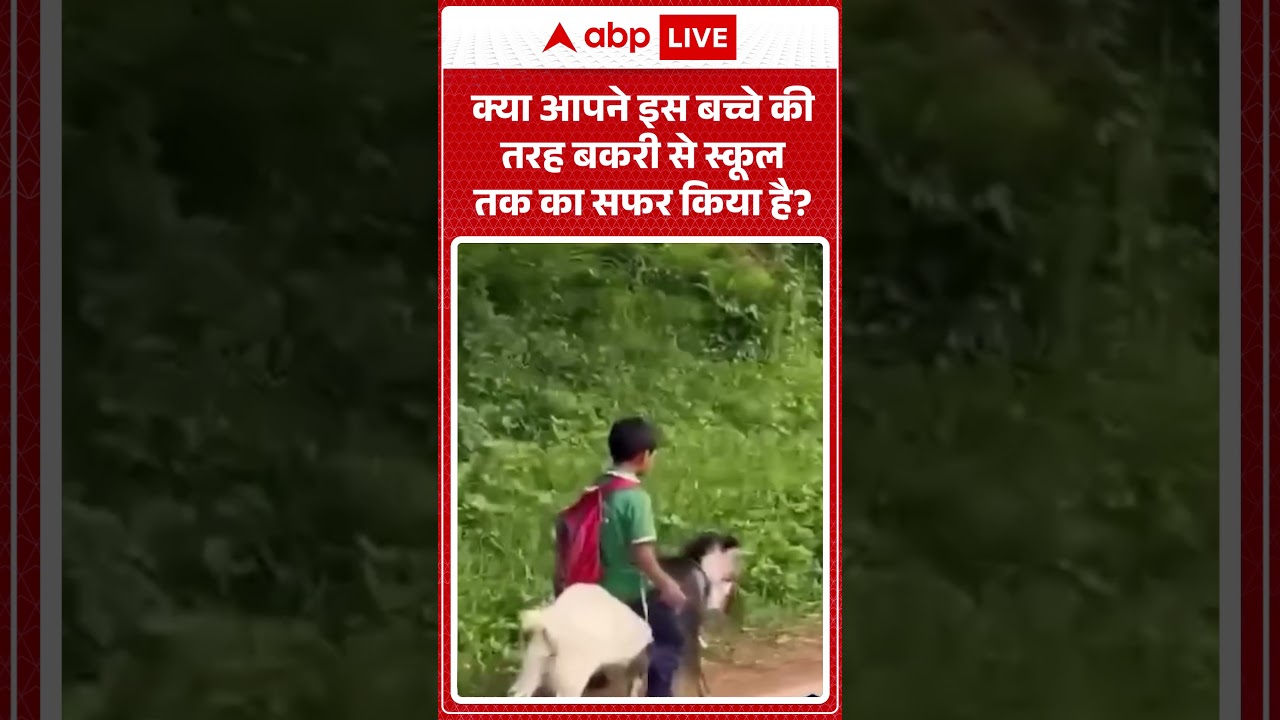 Viral News : क्या आपने इस बच्चे की तरह बकरी से स्कूल तक का सफर किया है? | #ytshorts #viralnews