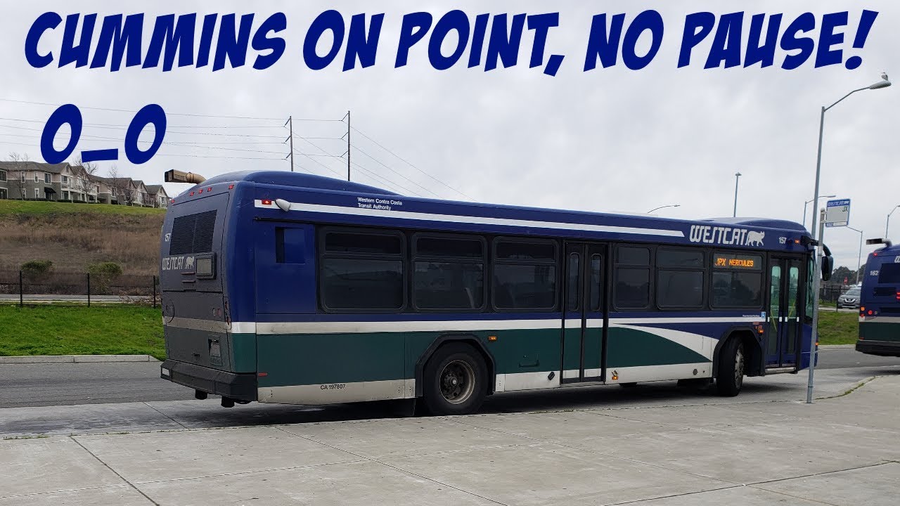 [BOESSSSSSSSSS][BASSY, HAULULULULS O_O] Westcat Gillig BRT 157 on JPX