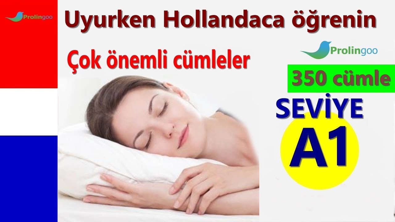 Hollandaca öğrenmek | En Önemli Hollandaca Kelime Öbekleri ve Kelimeler | Uykuda Öğrenme