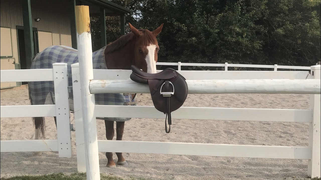 Unboxing A Arena Saddle