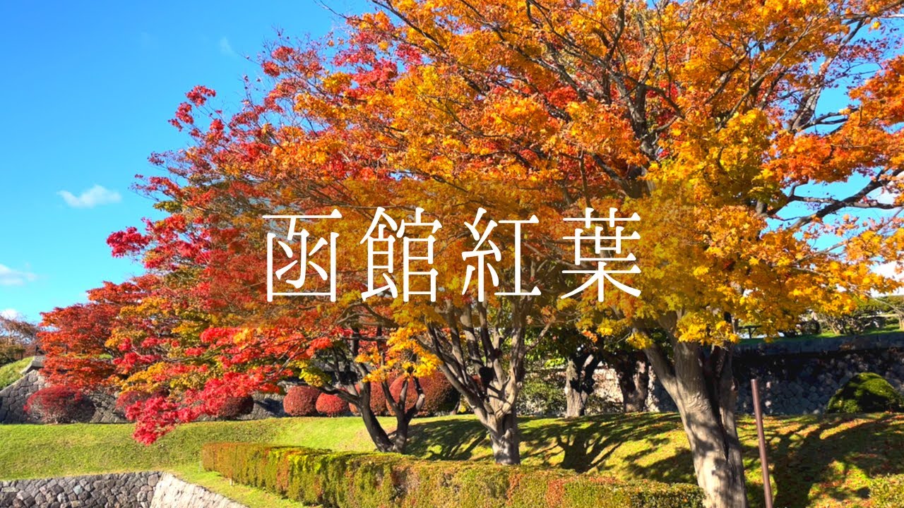 【函館紅葉】五稜郭公園・函館公園・見晴公園の３ヶ所　お散歩　（癒し・絶景・ゆったり・リラックス①）