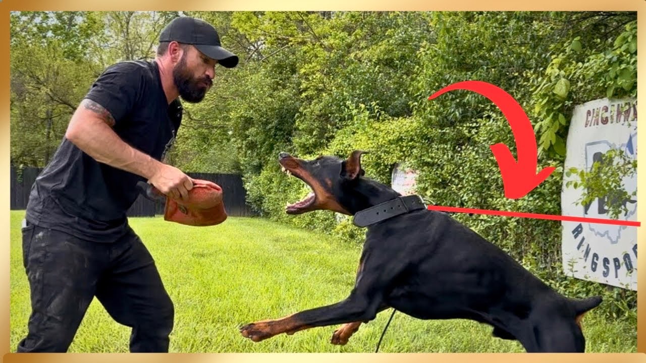 Does Everyone Teach Tug Wrong?
