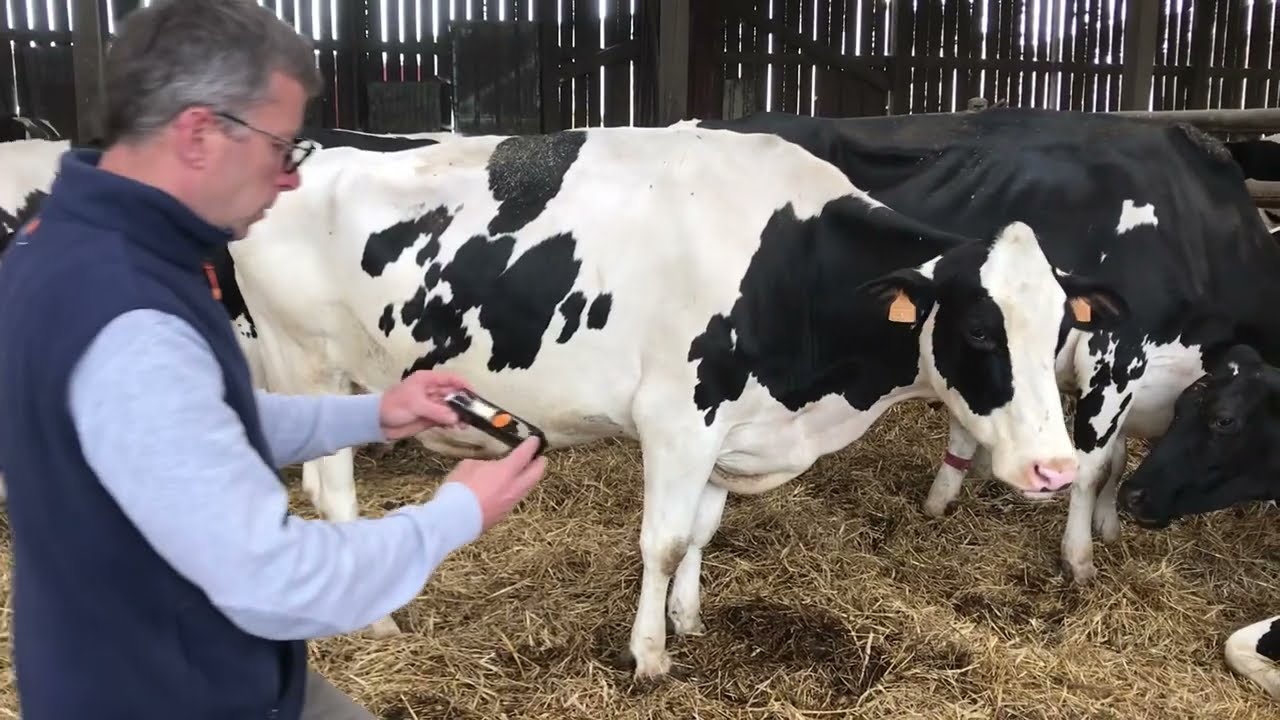 Nutri Prévention Fièvre de lait