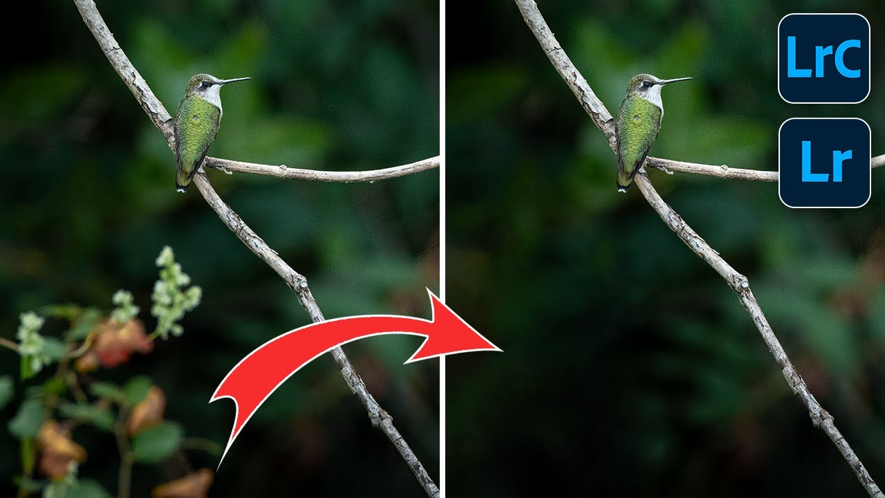 Как удалить ВСЁ в Lightroom
